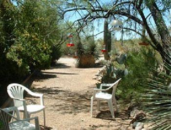 Bed And Bagels Of Tucson 호텔 Tanque Verde 외부 사진